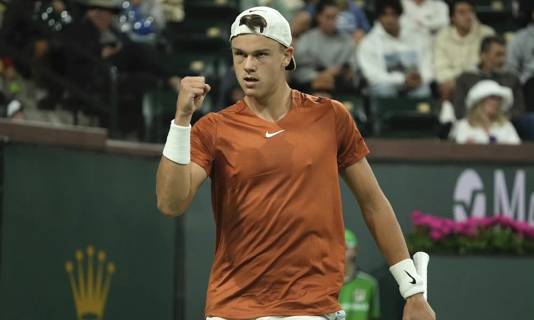 更是将自己 更是将自己